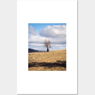 Tree On A Hill Posters and Art